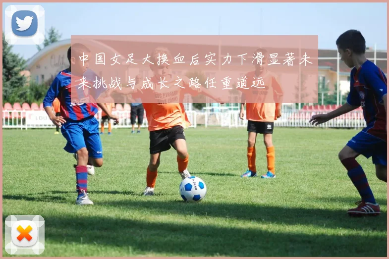 中国女足大换血后实力下滑显著未来挑战与成长之路任重道远